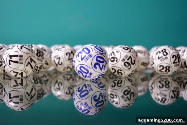 玩转组合与拆分：免费旋转游戏中的号码布局艺术