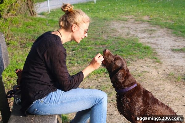德州扑克返利全解析：免费旋转游戏带你玩转佣金返还与风控解除